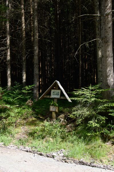 Datei:Bildstock am mitterberg-0596-2023-06-14.jpg