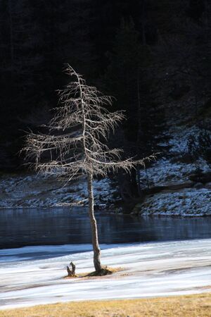 Duisitzkarsee 14333 2011-11-30.jpg