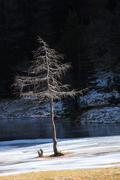 Datei:Duisitzkarsee 14333 2011-11-30.jpg