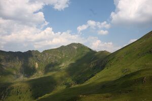 Glatt 1165 13-08-06.jpg