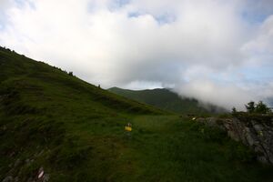 Gstemmerscharte 1258 13-07-12.jpg