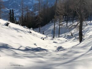 Kehr luser-18-2021-12-22.jpg