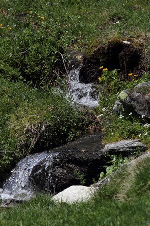 Sattental 45853 2017-05-19.jpg