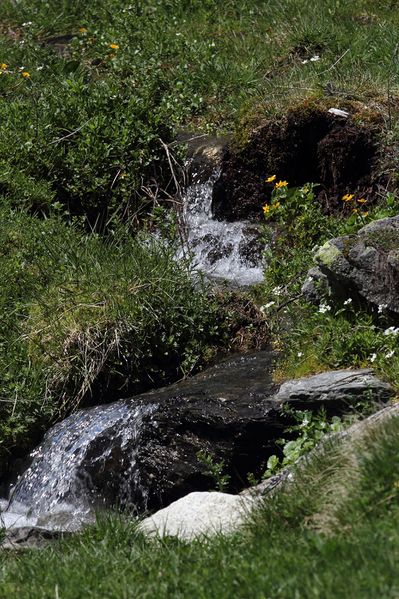 Datei:Sattental 45853 2017-05-19.jpg