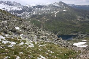 Schimpelsee 891 13-06-27.jpg