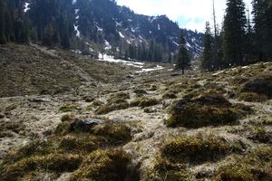 Strickerkar 55671 2014-05-02.jpg