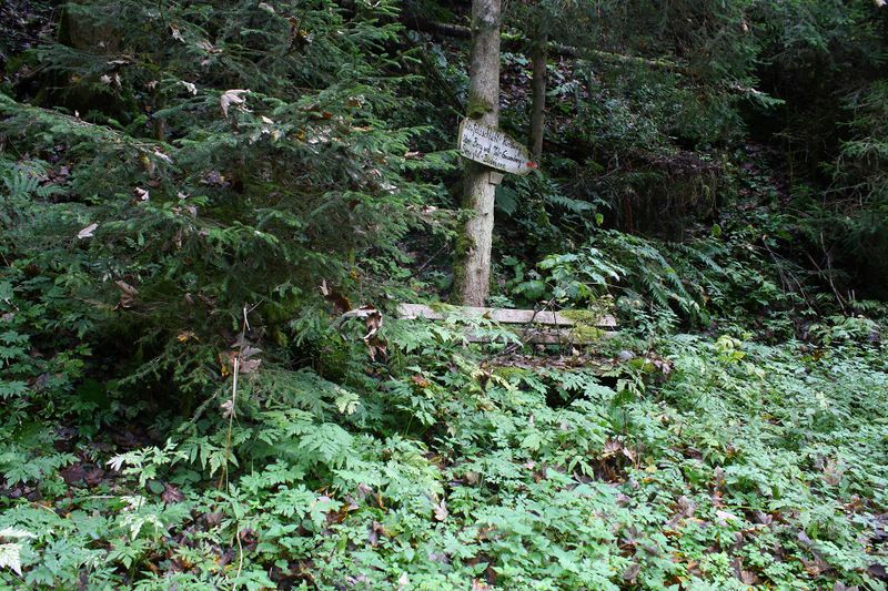 Datei:Teufelsschlucht Seewigtal 73360 2014-10-02.jpg