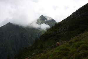 Wildkar 2195 2009-07-25.jpg