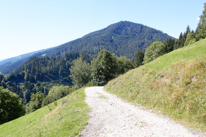 Datei:BH Ramsner mandling-0144-2021-09-02.jpg