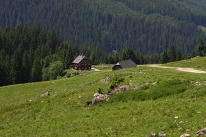 Beireutalm 90182 2015-06-08.jpg