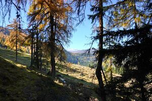 Berillenalm 10832 2015-10-27.jpg