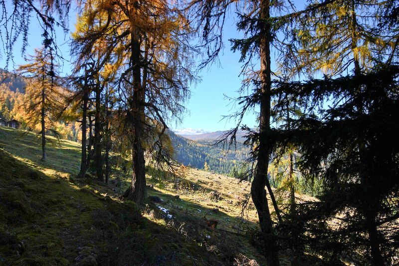 Datei:Berillenalm 10832 2015-10-27.jpg