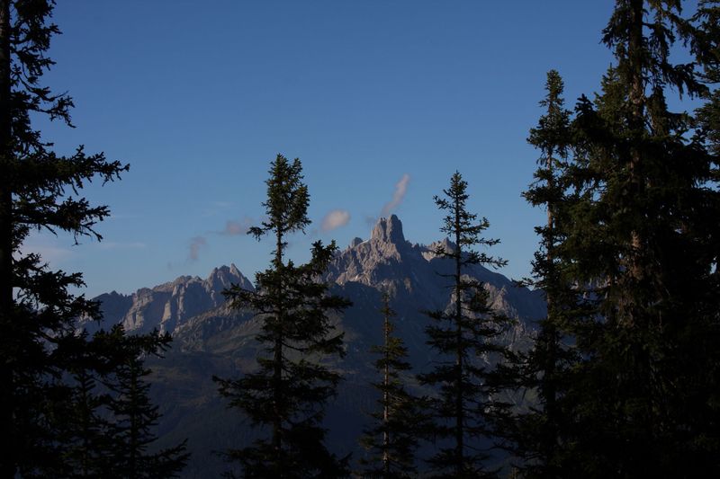 Datei:Bischofsmütze-rossbrand 28266 2010-09-12.jpg