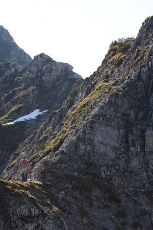 Brotrinnl 10882 2011-09-27.jpg