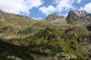 Grubachkar 02208 2015-09-11.jpg