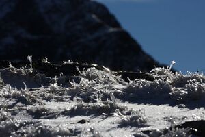 Kühkar 35339 2016-11-01.jpg