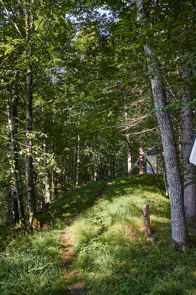 Datei:KalvBerg K-Landl-0173-2025-08-06.jpg