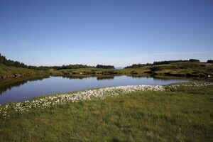 Karsee gumpenkar 53292 2017-07-05.jpg