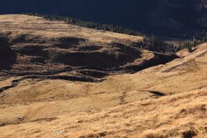 Mahdfeldalm -tischfeldsp 90171 2018-11-11.jpg