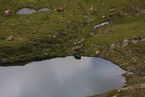 Oberer lanschitzsee 98163 2011-08-12.jpg