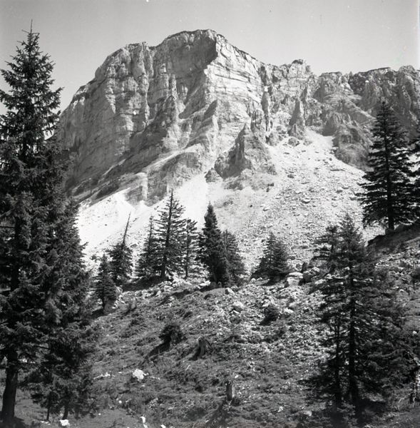 Datei:Sandling Bergsturz Foto A.Rastl.jpg