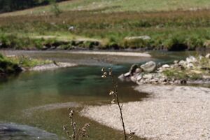 Schwarzenseebach kleinsölk 99258 2015-08-28.jpg