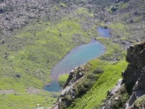 Stegerkarsee 17671 2006-07-17.jpg