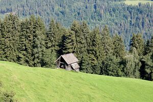 Vlg oberrüpeter schattenberg -0452-2023-08-11.jpg