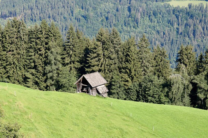 Datei:Vlg oberrüpeter schattenberg -0452-2023-08-11.jpg