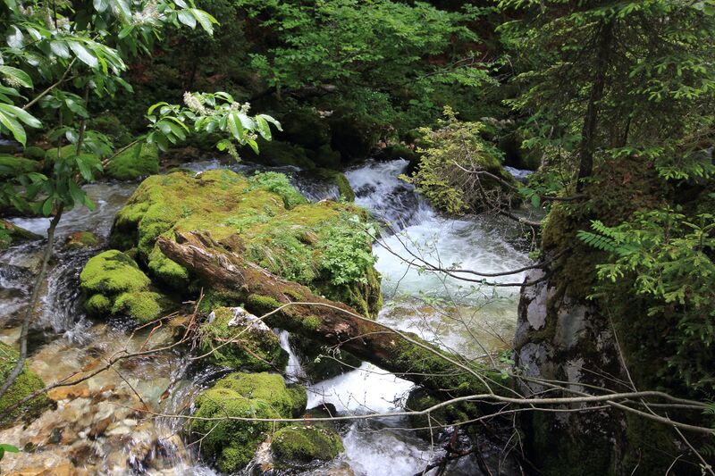 Datei:Zimitzbach grundlsee 77297 2018-06-04.jpg