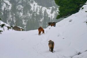 Duisitzkar 0145 2007-09-07.jpg