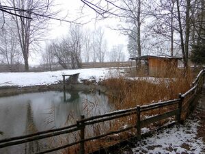 Ennsau Wörschach010825.JPG