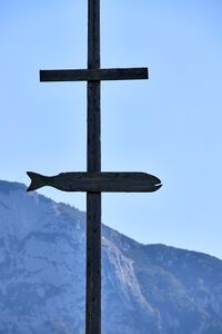 Fischerkreuz Fischerndorf-537-2026-08-13.jpg