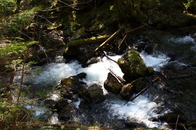 Datei:Giglachbach bis lackneralm 53883 2014-04-25.jpg