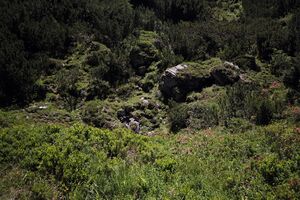 Gumpenkar 54482 2017-07-05.jpg