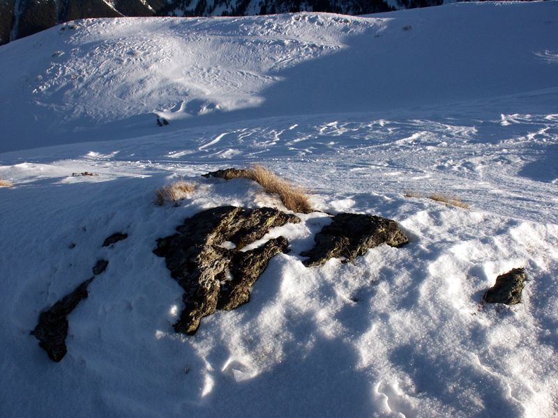 Datei:Guschen 41772 2003-01-20.jpg