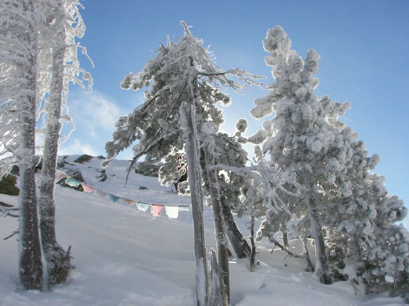 Datei:Hochfeld 42950 2006-01-19.jpg