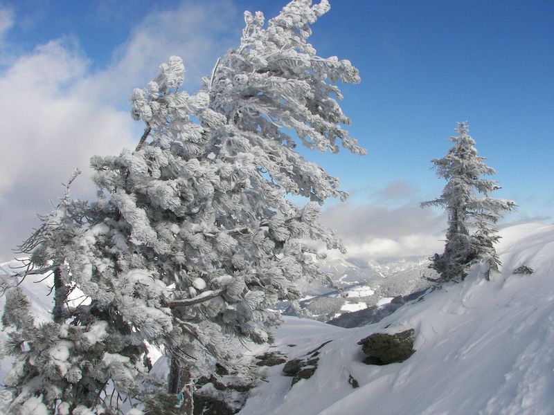 Datei:Hochfeld 42956 2006-01-19.jpg