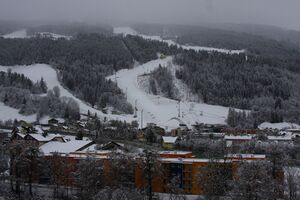 Nightrace 2014 35036 2014-01-24.jpg