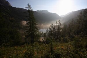 Steirersee 1663 2011-08-05.jpg