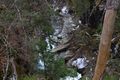 Strubschlucht 34564 2014-01-20.jpg