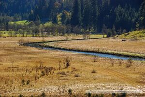 Untertalbach Tettermoor.jpg