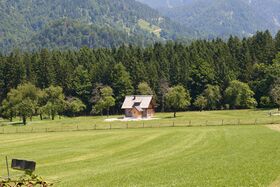 Vlg Hadler Mitterau-0663-2025-06-18.jpg