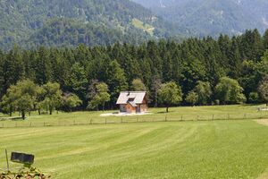 Vlg Hadler Mitterau-0663-2025-06-18.jpg
