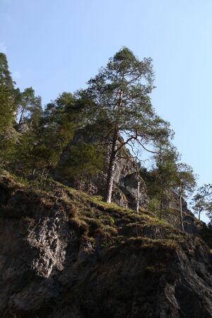 Wasserlochklamm palfau 70309 2018-04-23.jpg