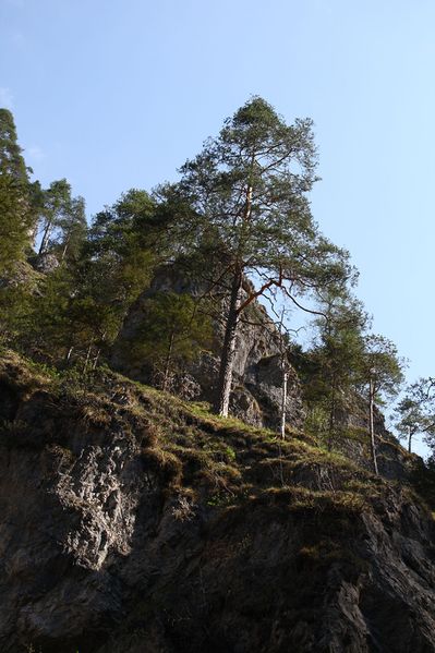 Datei:Wasserlochklamm palfau 70309 2018-04-23.jpg