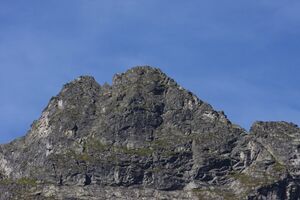 Zwilling lassachalm 99442 2015-08-28.jpg