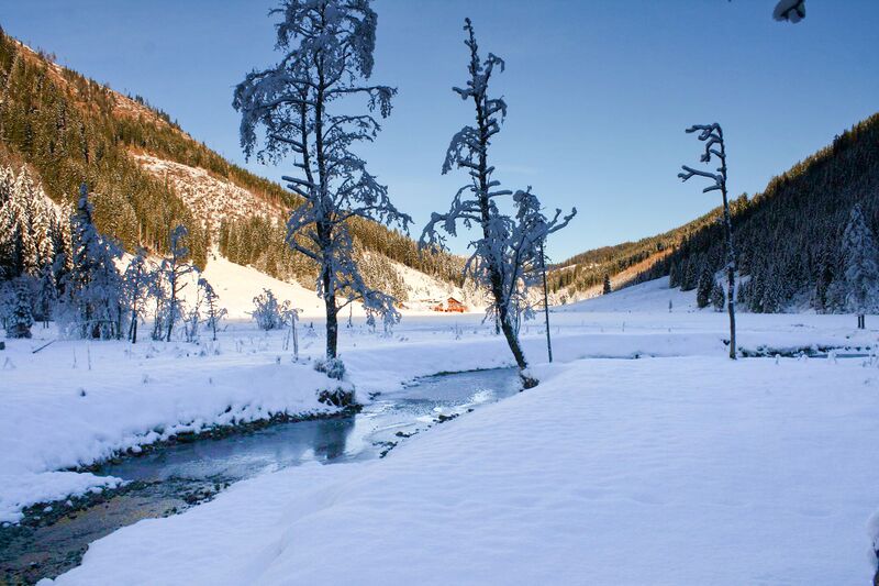 Datei:Bodensee 26512 2014-01-01.jpg