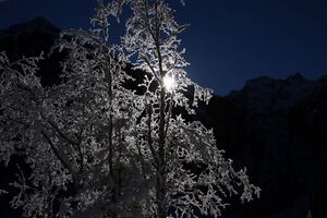 Bodensee 26583 2014-01-01.jpg