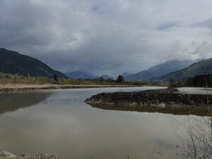 Frauenberger Torfstich070300.JPG